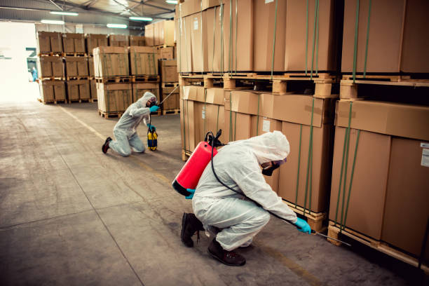 Best Exterminator Services  in Strawberry Point, IA