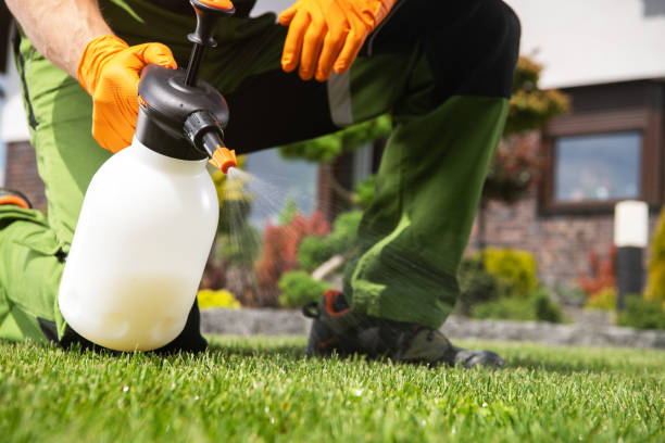 Best Ant Control Services  in Strawberry Point, IA