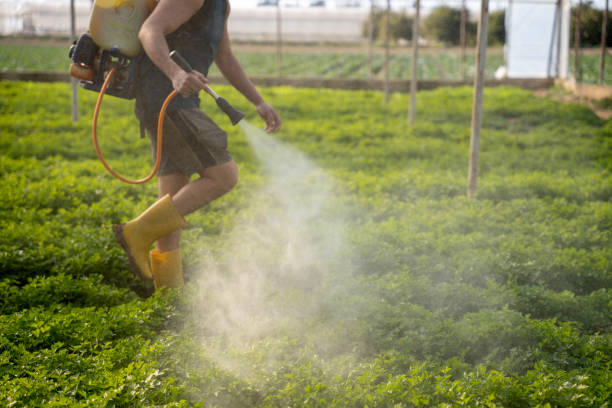 Best Pest Prevention Services  in Strawberry Point, IA
