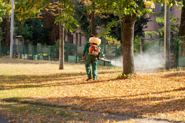 Best Flea Control Services  in Strawberry Point, IA