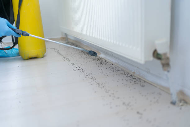 Best Best Pest Control Companies  in Strawberry Point, IA
